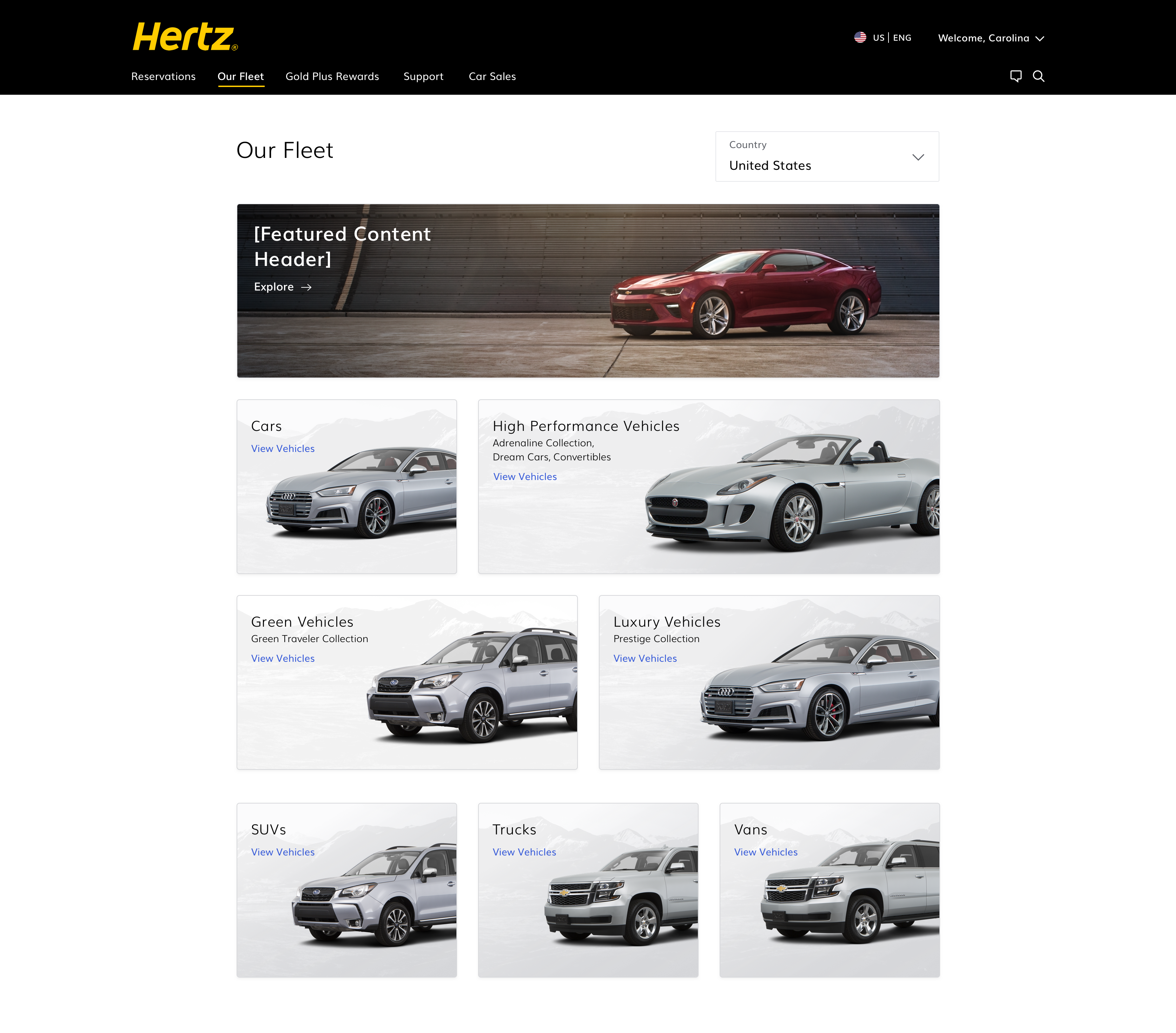 hertz_fleet